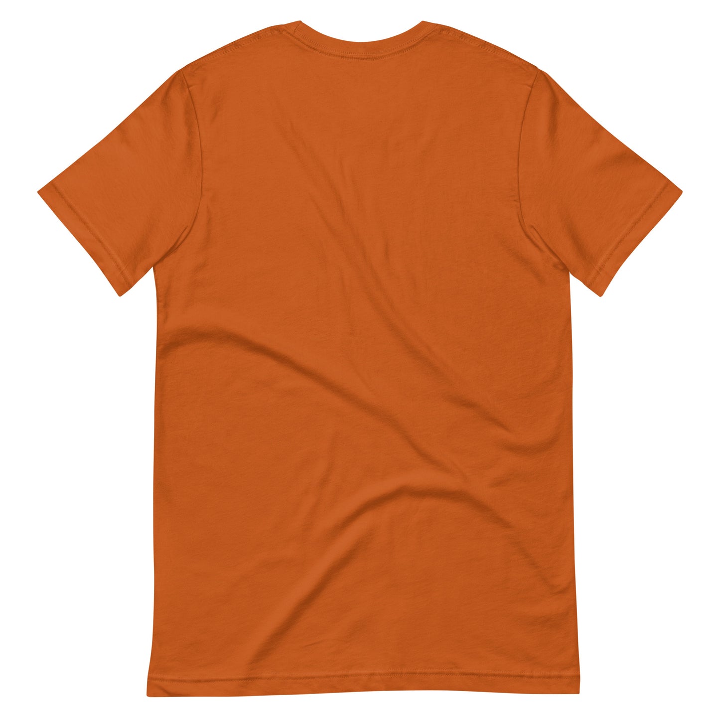 Fear Not Isaiah 41:10 (W) Women's T-shirt