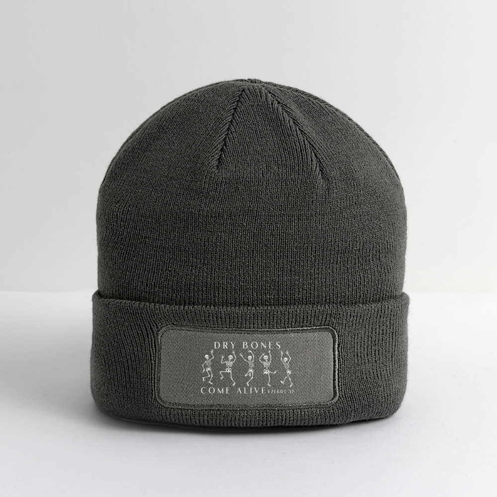 Dry Bones Come Alive Beanie - charcoal grey