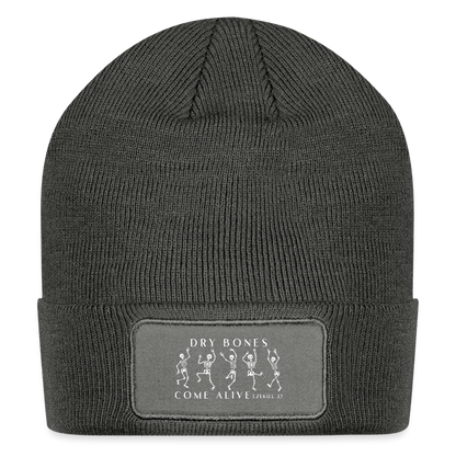 Dry Bones Come Alive Beanie - charcoal grey