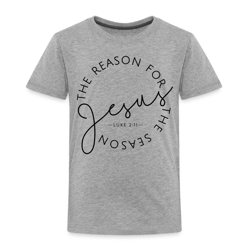 The Reason for the Season Christmas Family Toddler Shirt - heather gray