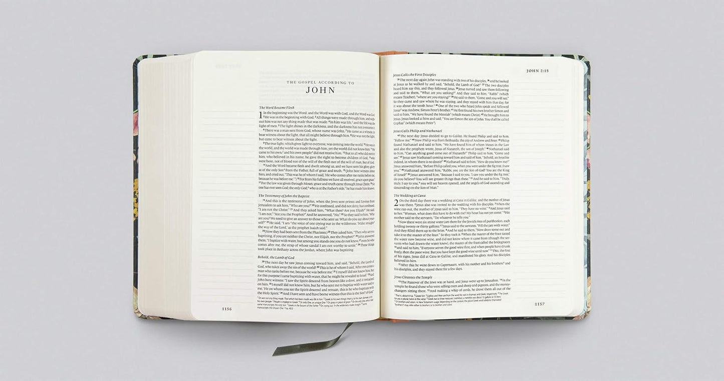 ESV Single Column Journaling Bible, Artist Series (Hardcover, Ruth Chou Simons, Be Transformed)