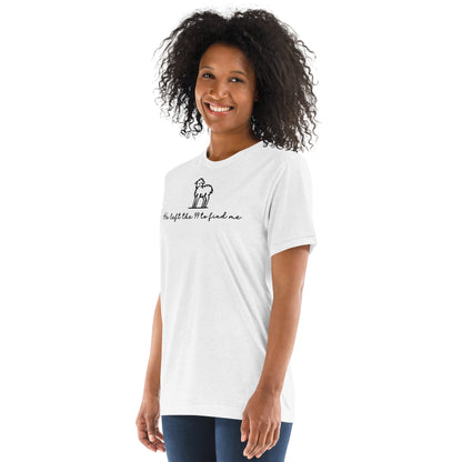 He Left the 99 to Find Me Triblend Women's Short Sleeve T-shirt